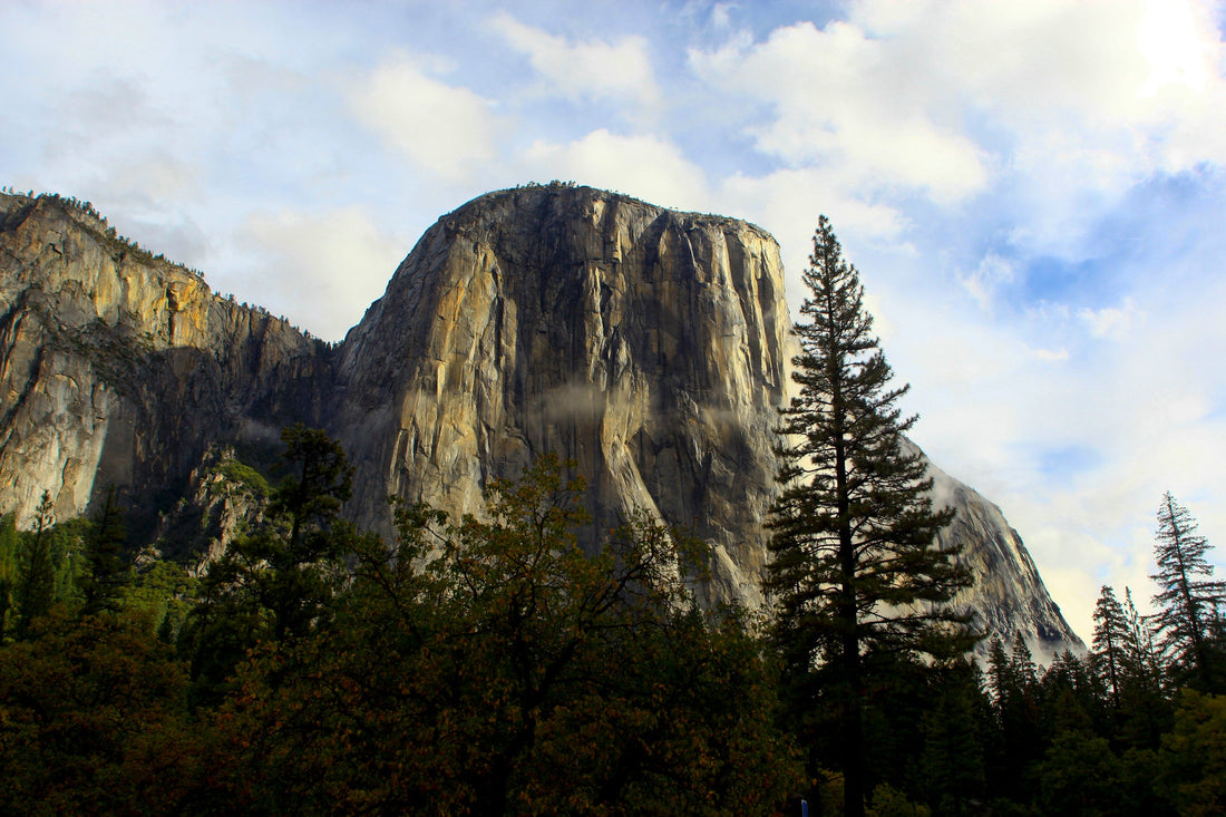 Government Shutdown Day 1 - What Changed Today and Who is Feeling it Already?